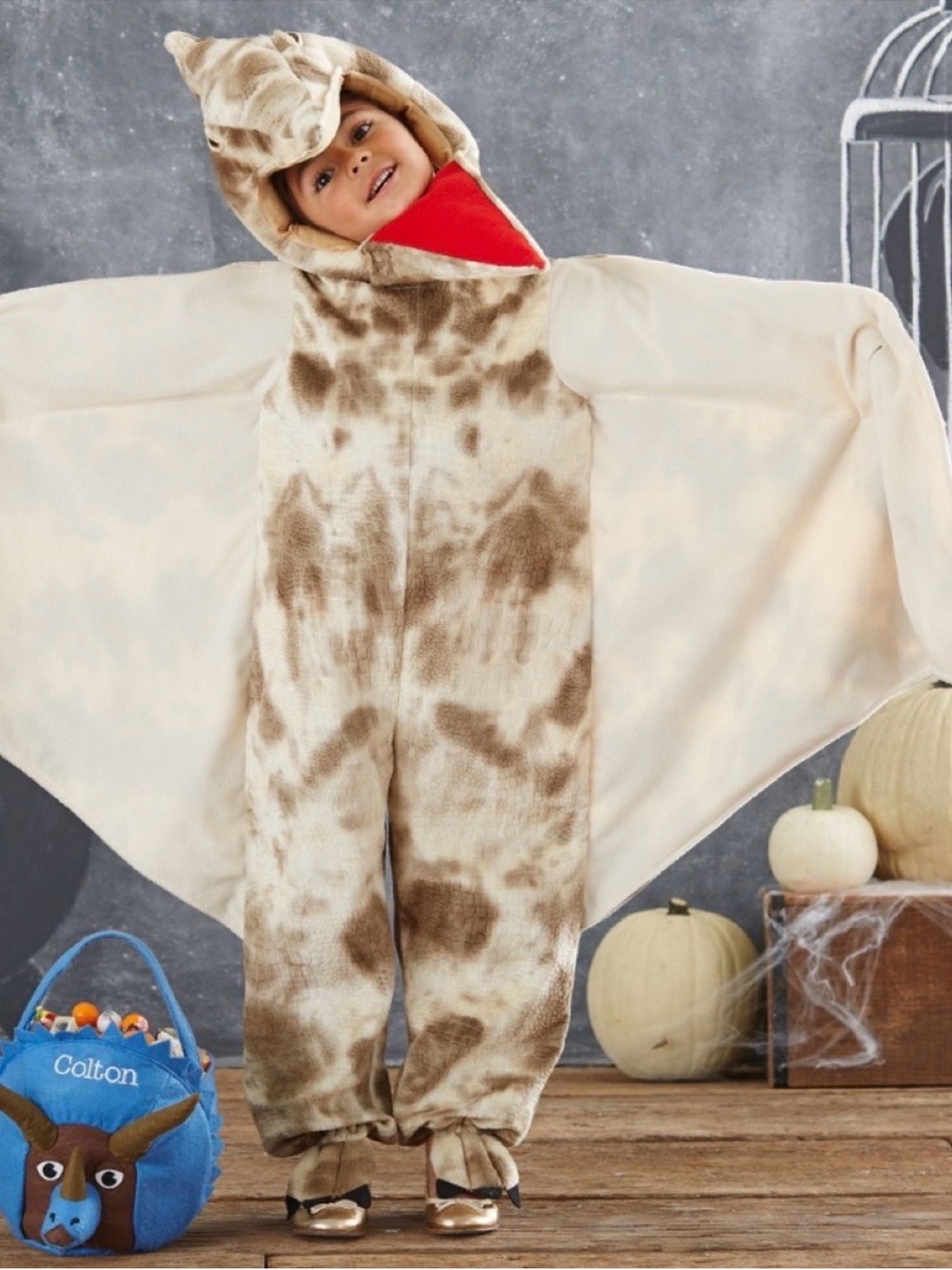 Pottery Barn Dinosaur Kids Pterosaur Costume with Red Accent size 7/8